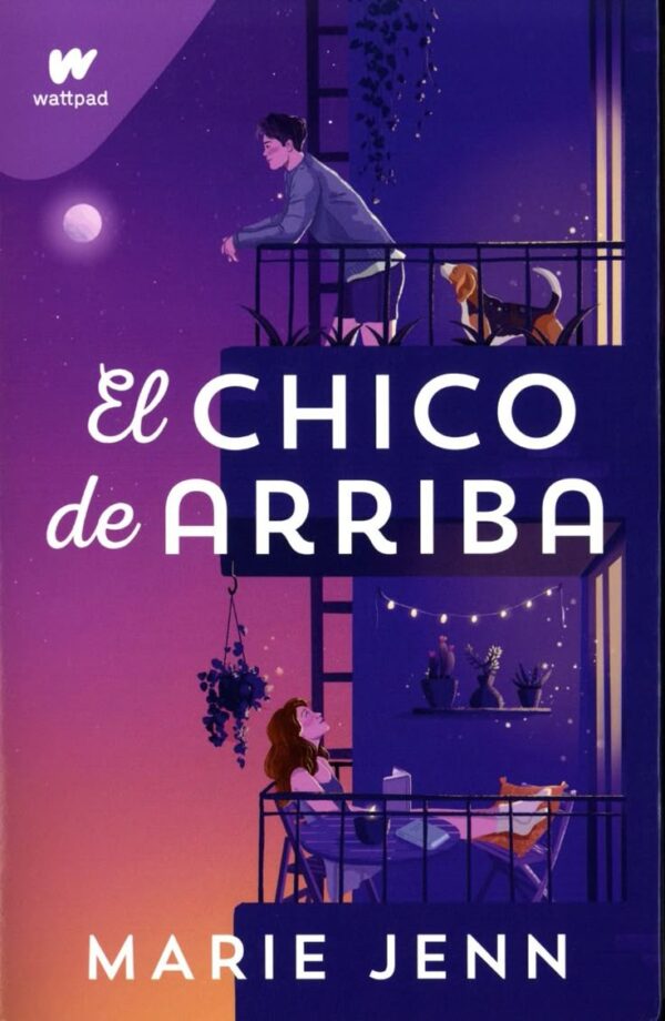 El chico de arriba